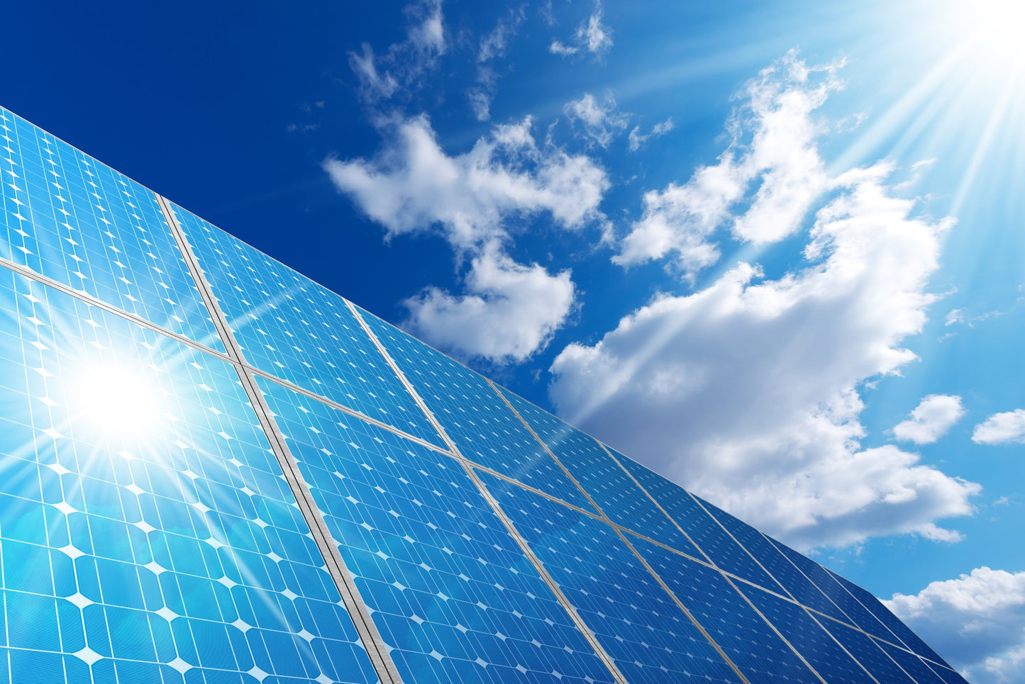 REC Solar: Strategising on a Solar Coaster