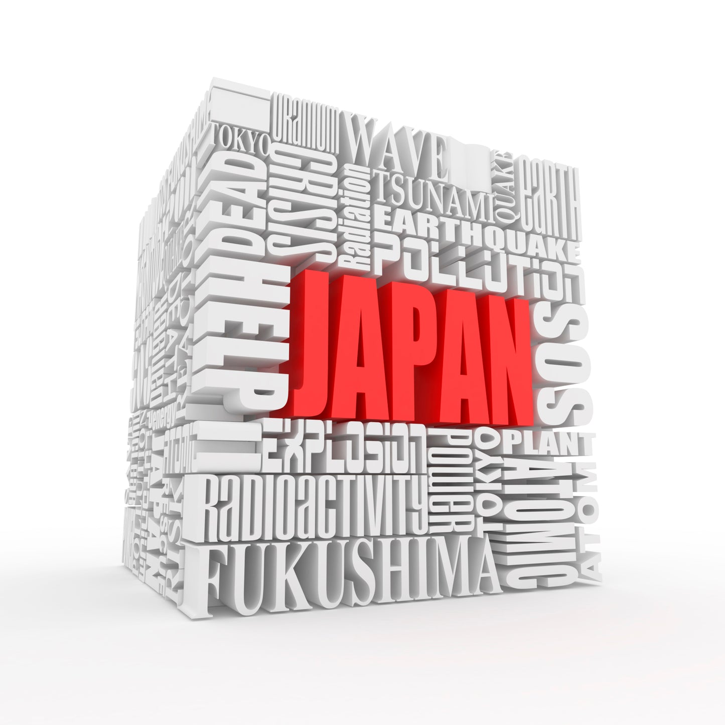 The Fukushima Nuclear Disaster: Leadership in Crisis