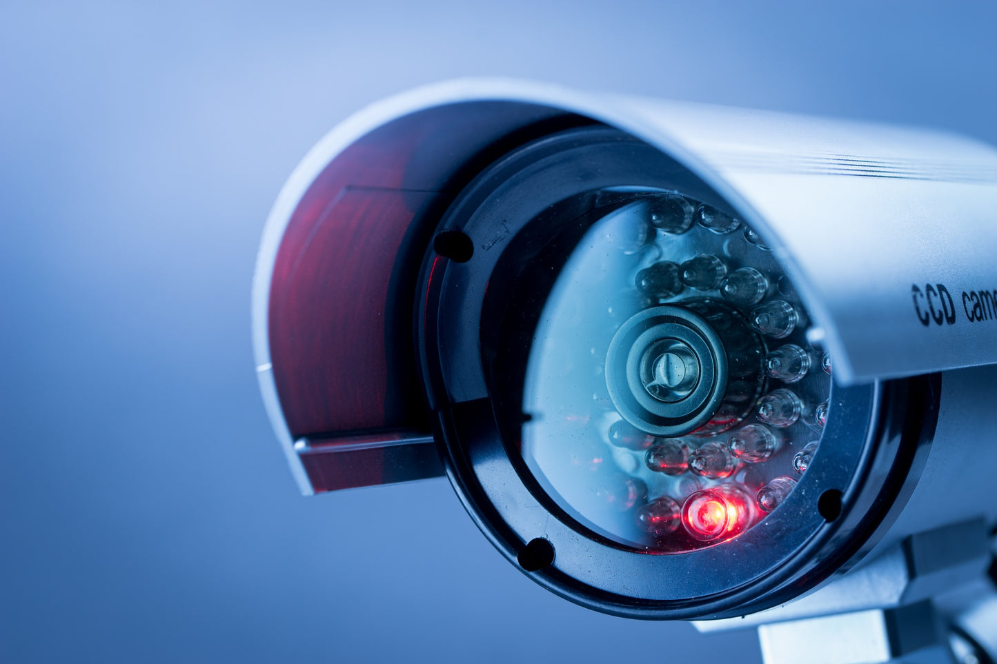 The Resilience of a Disruptive Innovator: Concorde Security