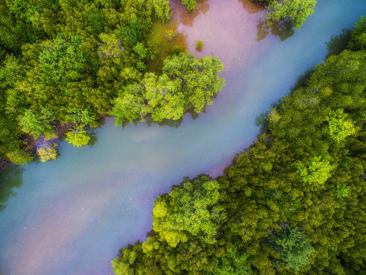 Miracle Mangroves: Funding of Green Shields in the Bay of Bengal